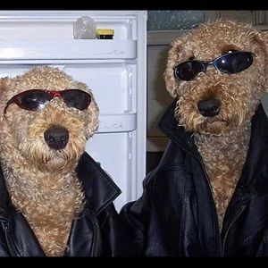 Meet your Posher, Bryan